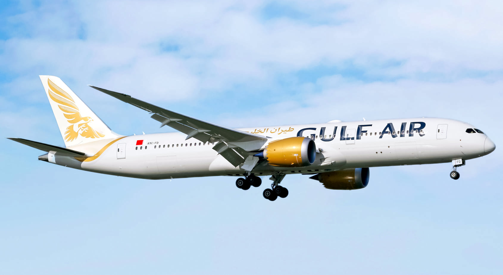 Golden Falcon